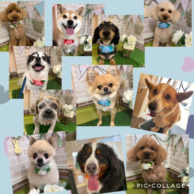 本日のお客様