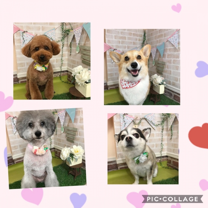 本日のお客様