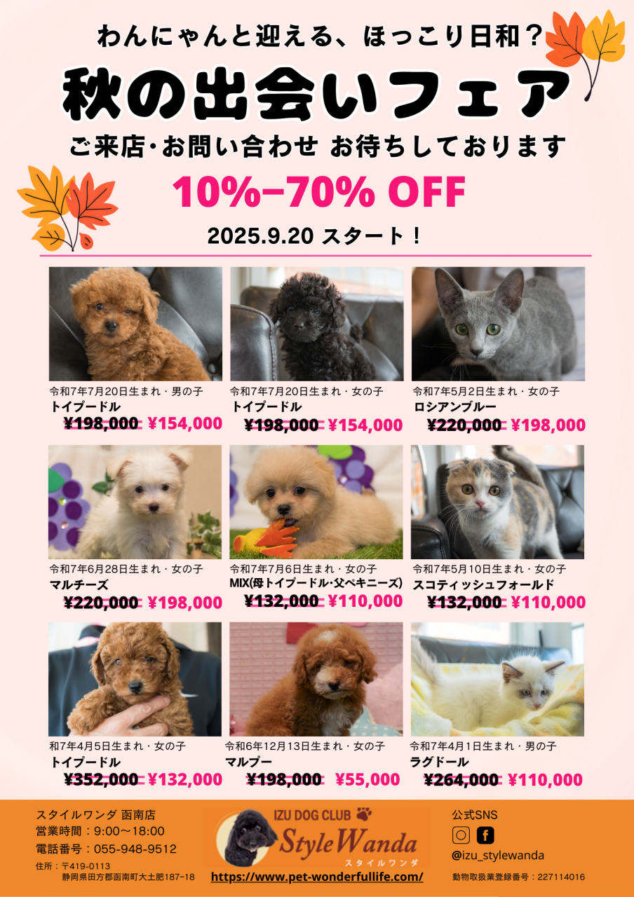 20250917スタイルワンダセール