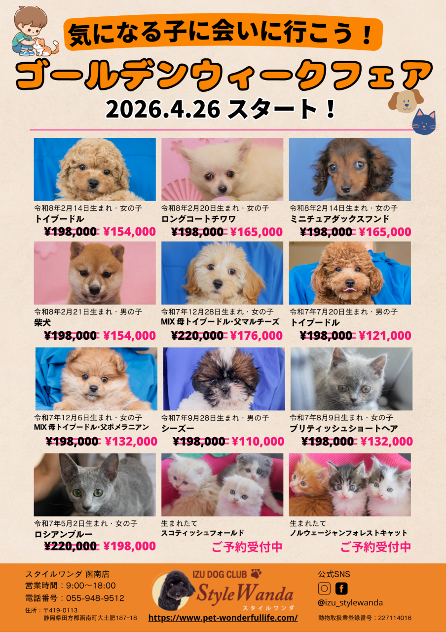 IZU DOG CLUB Style Wanda